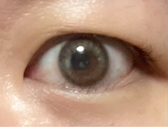 レビュー写真