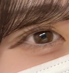 レビュー写真