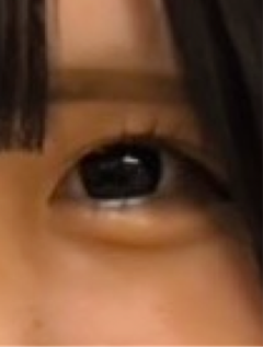 レビュー写真