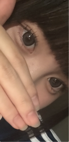 レビュー写真