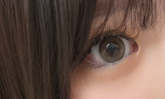 レビュー写真