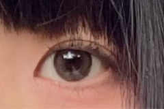 レビュー写真