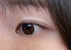 レビュー写真