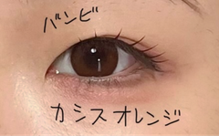 レビュー写真
