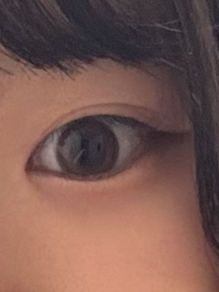 レビュー写真