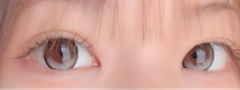 レビュー写真
