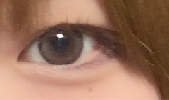 レビュー写真