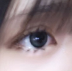 レビュー写真