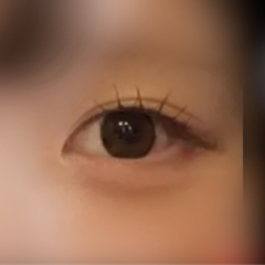 レビュー写真