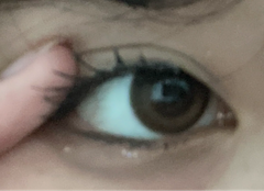 レビュー写真