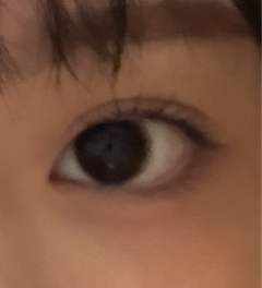 レビュー写真