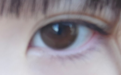 レビュー写真