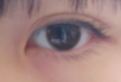 レビュー写真