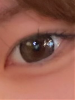 レビュー写真