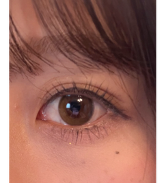 レビュー写真