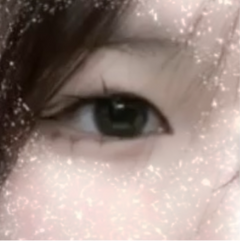レビュー写真