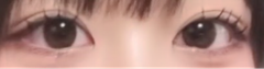 レビュー写真