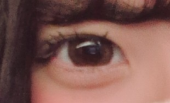 レビュー写真