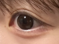 レビュー写真