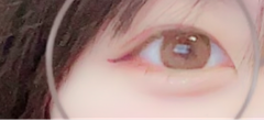 レビュー写真