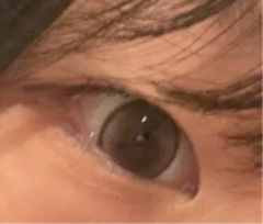 レビュー写真