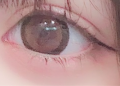 レビュー写真