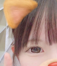 レビュー写真