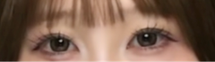 レビュー写真