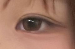 レビュー写真