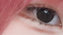 レビュー写真