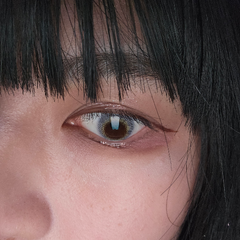 レビュー写真