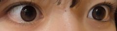 レビュー写真
