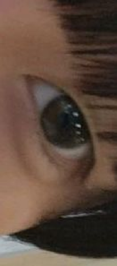 レビュー写真