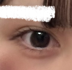 レビュー写真