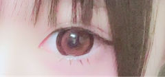 レビュー写真