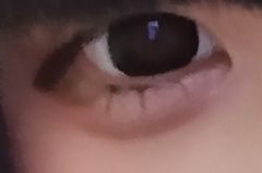 レビュー写真