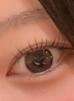 レビュー写真