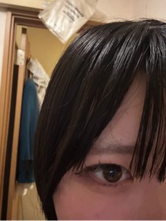 レビュー写真