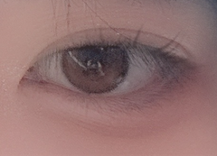 レビュー写真