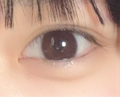 レビュー写真