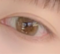 レビュー写真