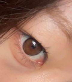 レビュー写真