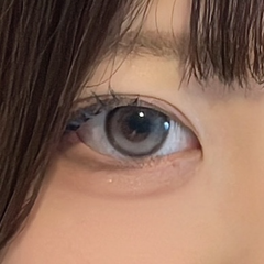 レビュー写真