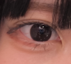 レビュー写真