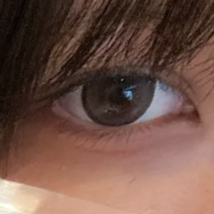 レビュー写真