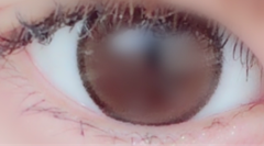 レビュー写真
