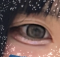 レビュー写真