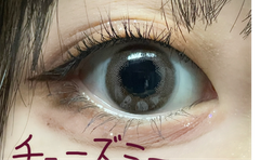レビュー写真