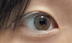レビュー写真