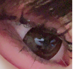 レビュー写真